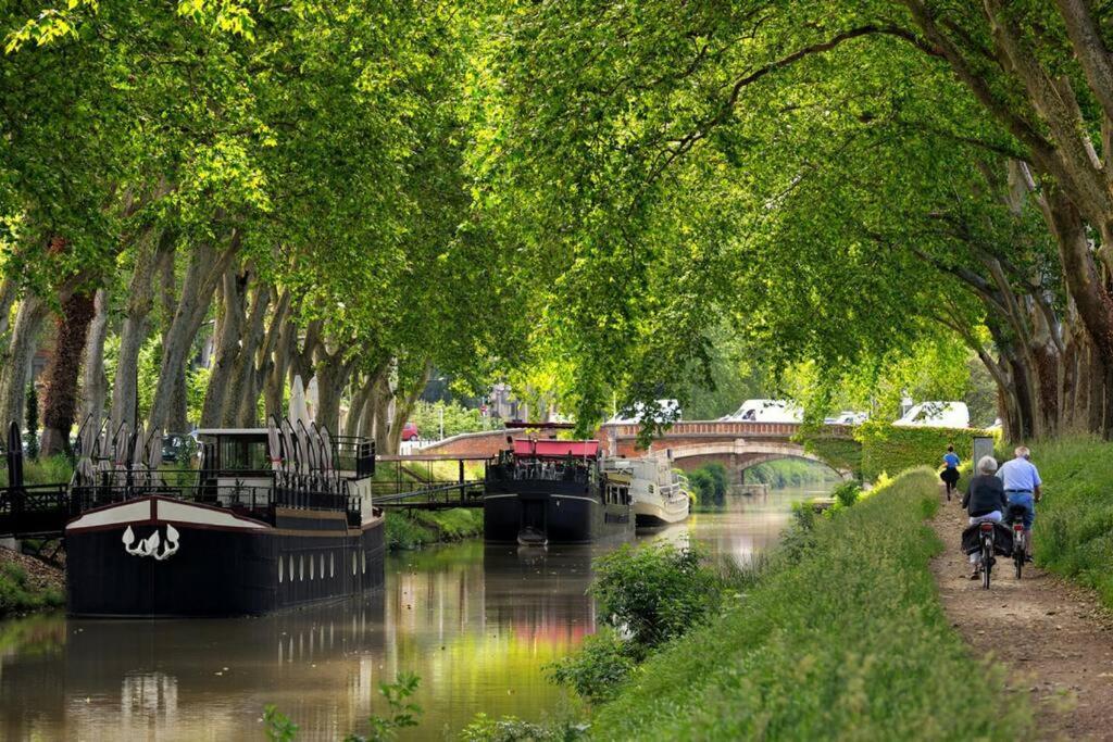 Le Saint-Exupery Apartment Toulouse Bagian luar foto
